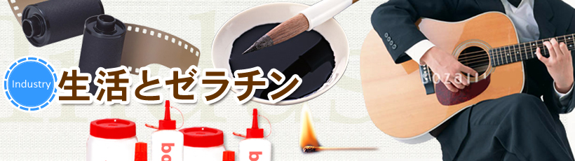 生活とゼラチン