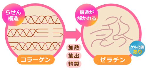 ゼラチンって何 日本ゼラチン コラーゲン工業組合